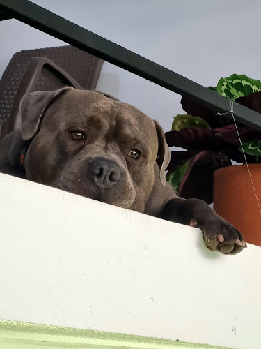 Opinii despre Laurino coffee în Armenia - Gastronomía y hostelería