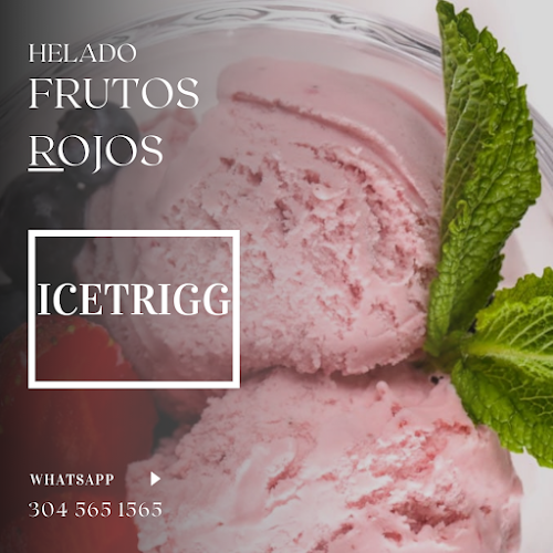 Icetrigg - Gastronomía y hostelería