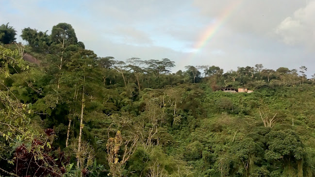 Opinii despre Mirador los titos în Dosquebradas - Gastronomía y hostelería