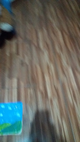 Comentarii opinii despre Diner Terraza Foods & Drinks