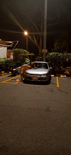 Comentarii opinii despre Mall de Comidas