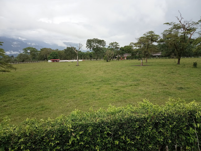 Comentarii opinii despre Arte & Pan Pastelería