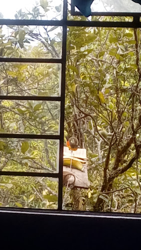 Opinii despre Bar Los Alpes Santa Bárbara în Santa Bárbara - Gastronomía y hostelería