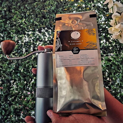 Café Central Brunch