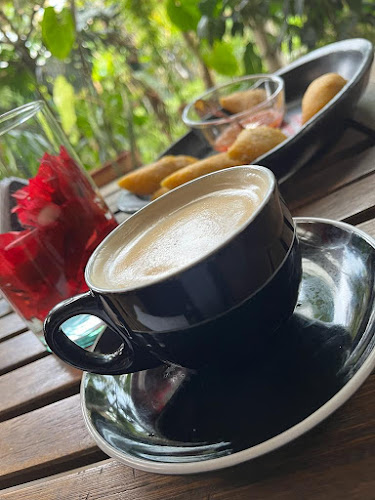 Cra. 14 #20-64, Santa Rosa de Cabal, Risaralda