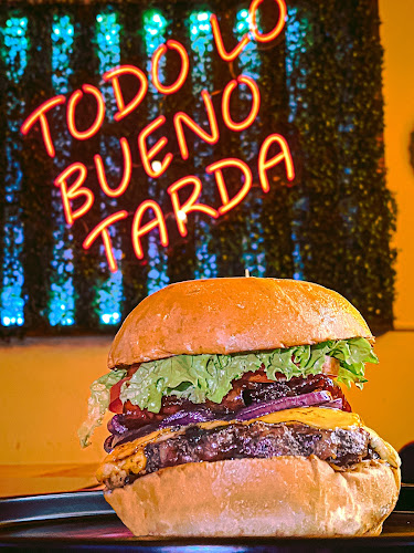 Comentarii opinii despre MR TORO