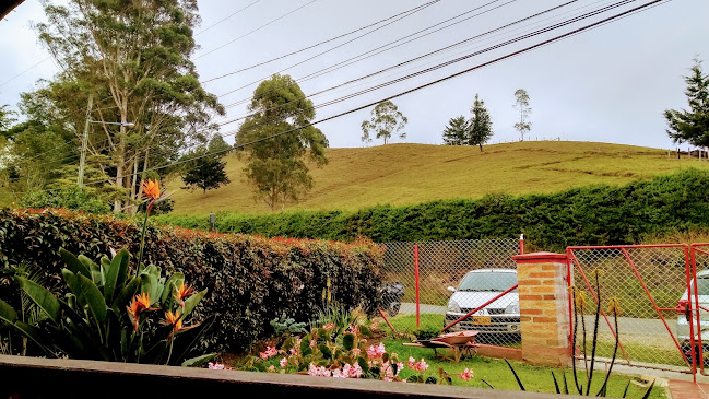 Comentarii opinii despre Portón de San Nicolás