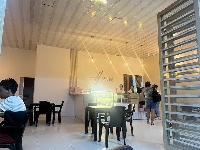 Comentarii opinii despre Hibisco