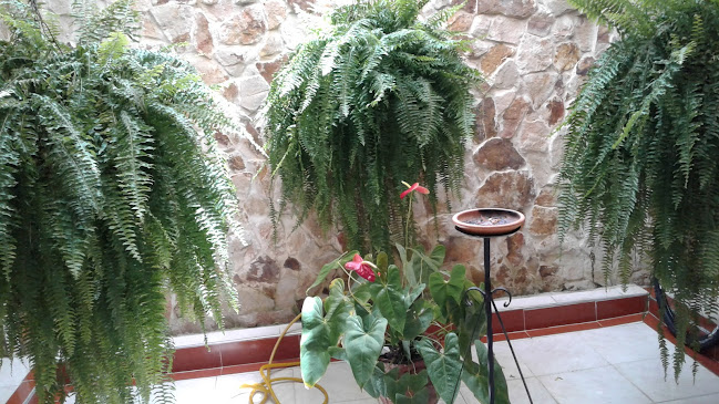 Opinii despre Brasa y Mar Restaurante Palmira în Palmira - Gastronomía y hostelería