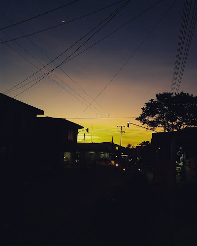 Chente (Rumba- Ranchera y Vallenato