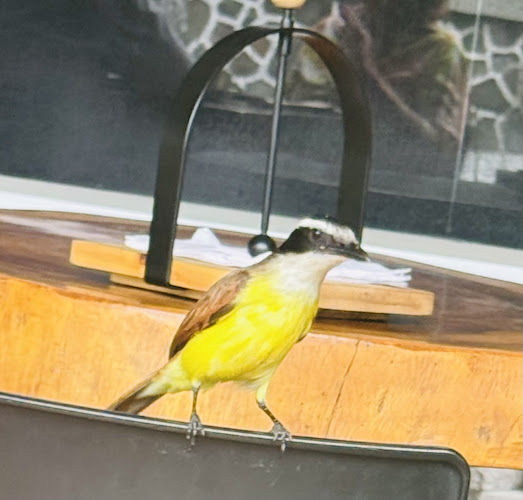 Emilios Restaurante - Pereira