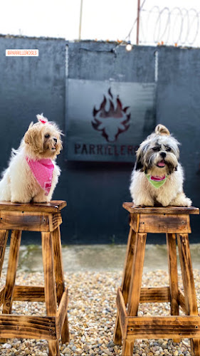 Parrileros - Puerto López