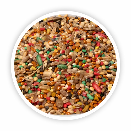 Cra. 17 #24-8, Manizales, Caldas