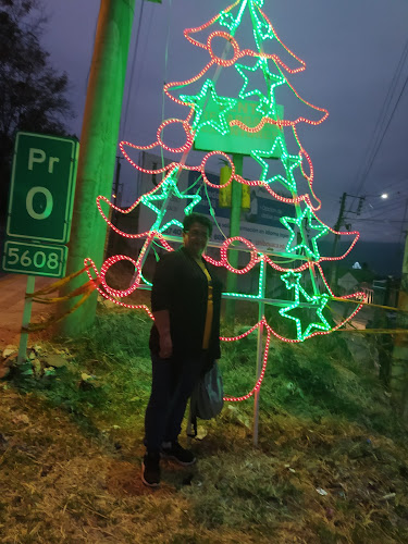 Opinii despre Sudaos în Guateque - Gastronomía y hostelería