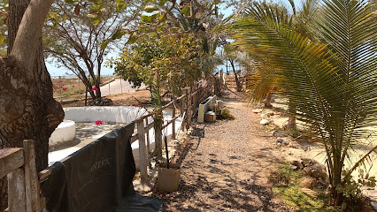 Restaurante Peskaíto