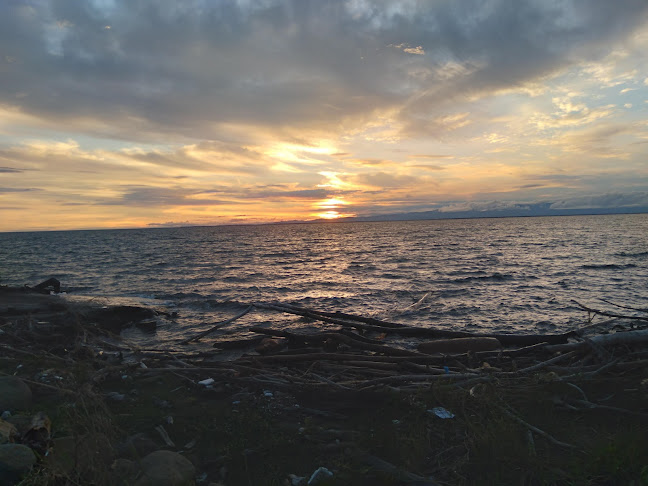 Comentarii opinii despre Roots Bar Jhon Jairo Trellez