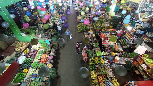 Av. Las Palmas #10-97 a 10-61, Sabaneta, Fusagasugá, Cundinamarca