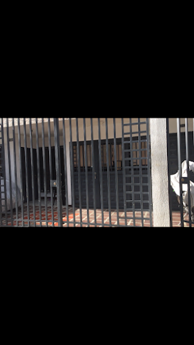 Sweetie Cat Heladería - Gastronomía y hostelería