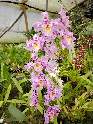 San Isidro - Gastronomía y hostelería