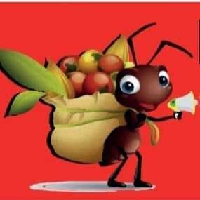 Minimercado PERSEVERA