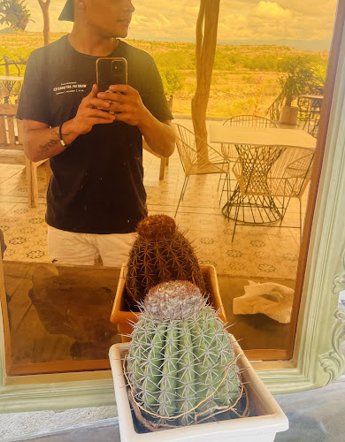 Cocina andres ortega centro de gestión y desarrollo - Pitalito