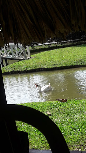 Chigorodó-Carepa, Santa Isabel, Carepa, Antioquia