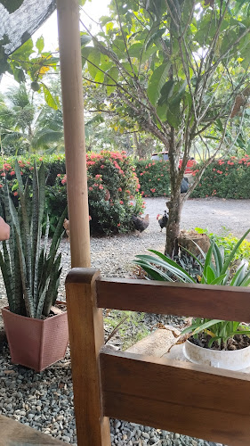 J8VW+H3, Chigorodo, Chigorodó, Antioquia