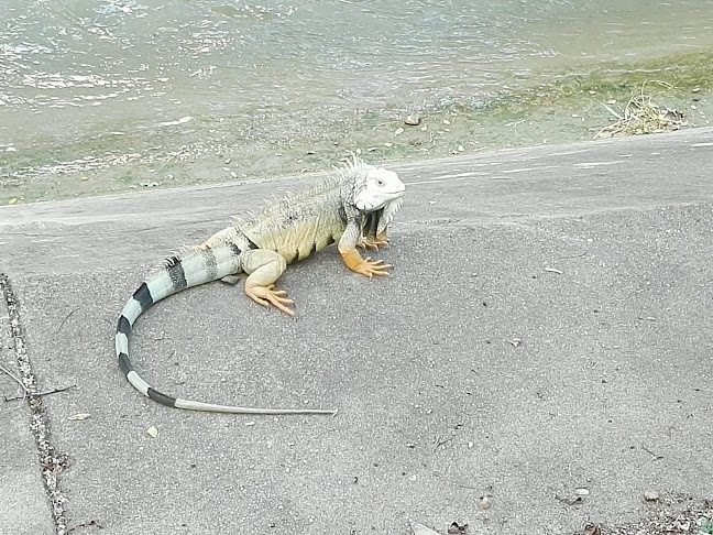 Merendero Las Brisas - Gastronomía y hostelería
