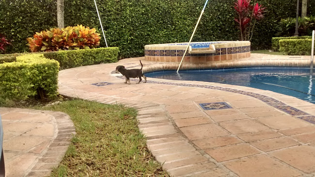 Restaurante - bar "LA CASONA" - Gastronomía y hostelería