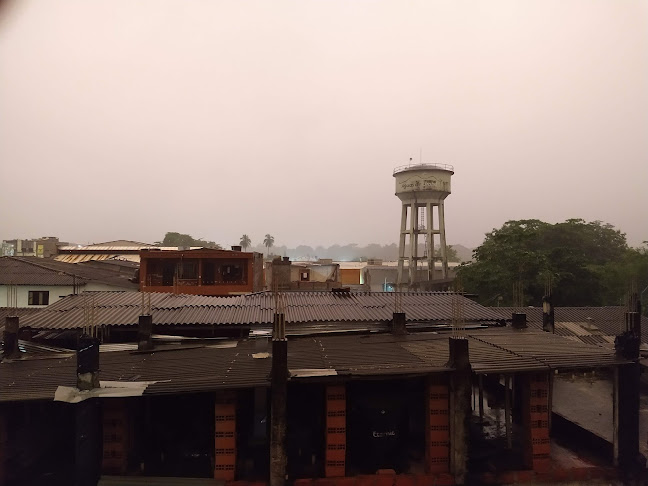 Opinii despre Rico Pollo în Carepa - Gastronomía y hostelería