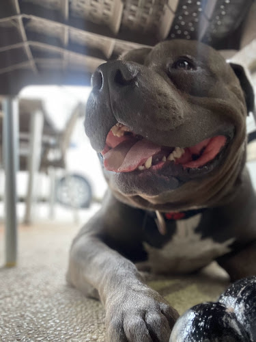 Laurino coffee - Gastronomía y hostelería