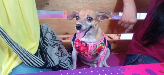 Comentarii opinii despre Sweetmomentsbeq