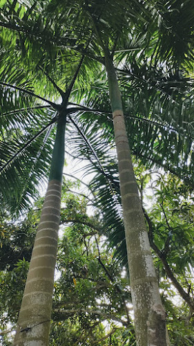 Opinii despre CASA FINCA CAMPUZANO în Turbaco - Gastronomía y hostelería