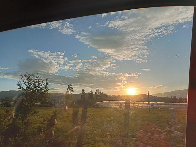 RESTAURANTE SAN SEBASTIAN - Gastronomía y hostelería