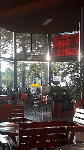 Pizzas Piccolo Circunvalar - Gastronomía y hostelería