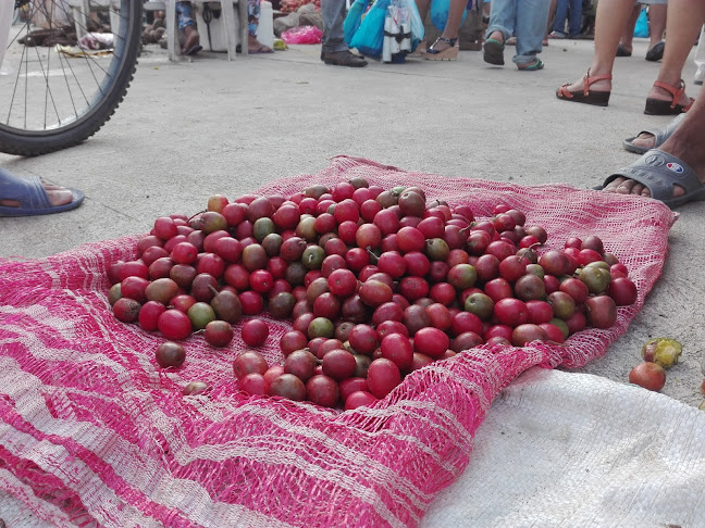 Calle 15 No 6A-123, Sahagún, Córdoba