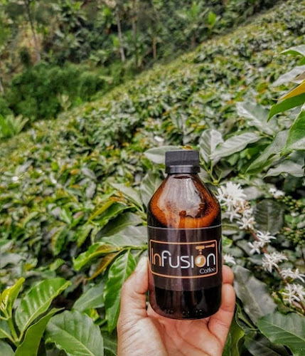 Café Infusionistas coffee - Gastronomía y hostelería
