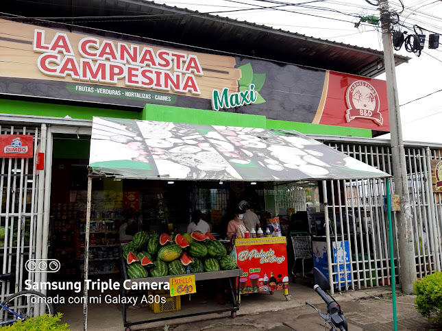 La canasta campesina 2