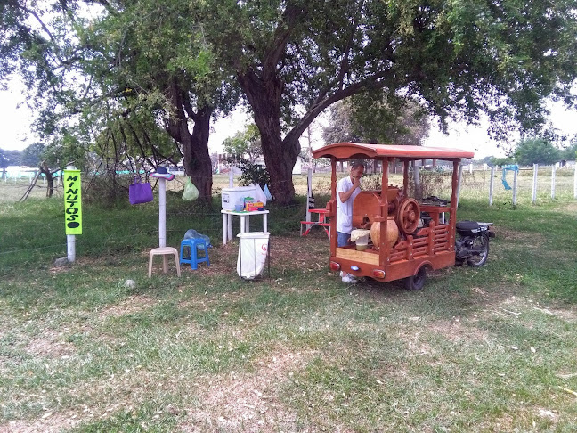 Guarapo De Oro - Palmira