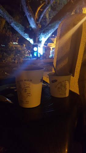 Cafe a lomo de mula - Cartago, Pereira