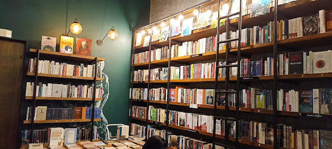 Comentarii opinii despre F A U N O