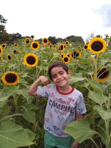 Opinii despre Centro Campestre Villa Juliana în Villa Del Rosario - Gastronomía y hostelería