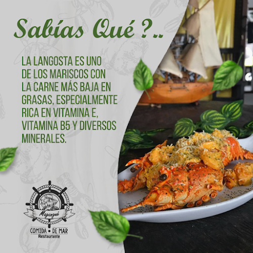 Magangué San Jeronimo - Comida de Mar
