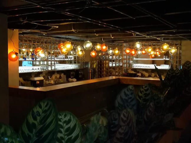 Augurio By La Comarca