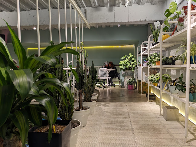 calle 13 Bogota cafeteria