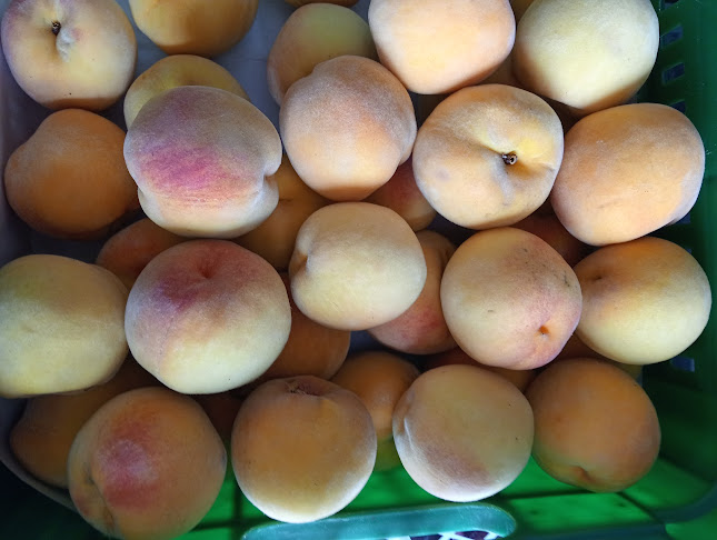 El peral : salón de onces y frutas de nuevo colon - Tunja