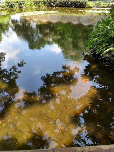 Tienda -Cafetería Museum Shop & Coffe - Santa Marta