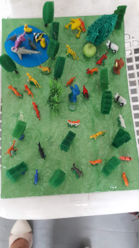 Sabia Tiendas Agropecuarias - Sogamoso