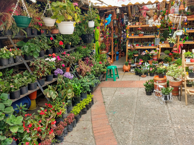 Av. Las Palmas #10-97 a 10-61, Sabaneta, Fusagasugá, Cundinamarca