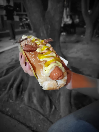 Comentarii opinii despre DEL PARQUE Las Hamburguesas